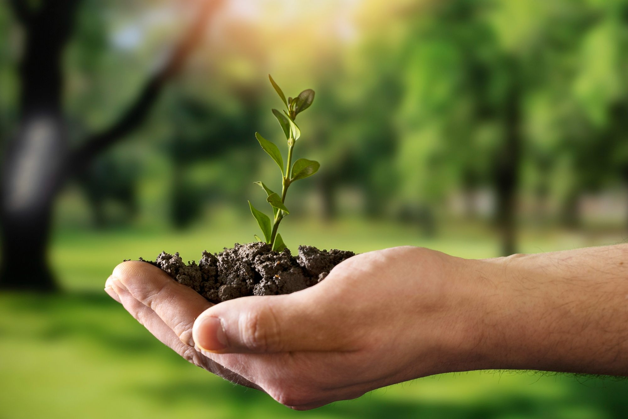 The 7 Core Dimensions of CSR in India