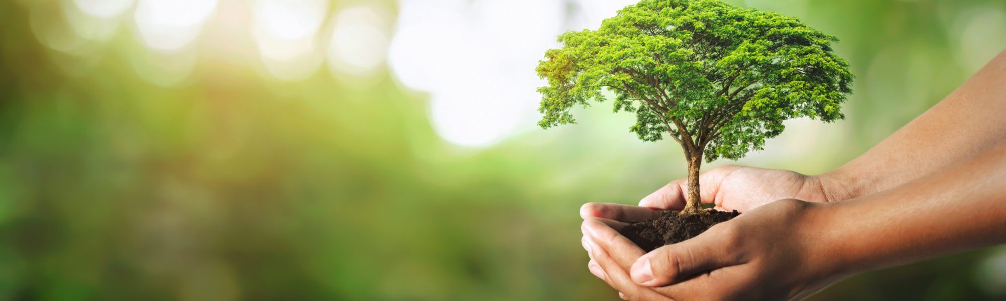 The 7 Core Dimensions of CSR in India